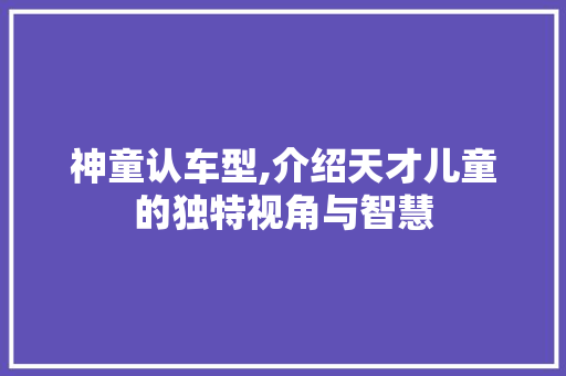 神童认车型,介绍天才儿童的独特视角与智慧