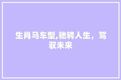 生肖马车型,驰骋人生，驾驭未来