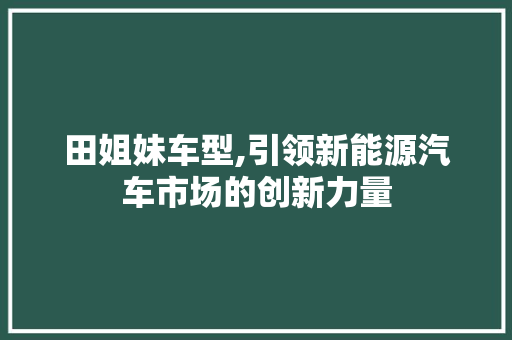 田姐妹车型,引领新能源汽车市场的创新力量