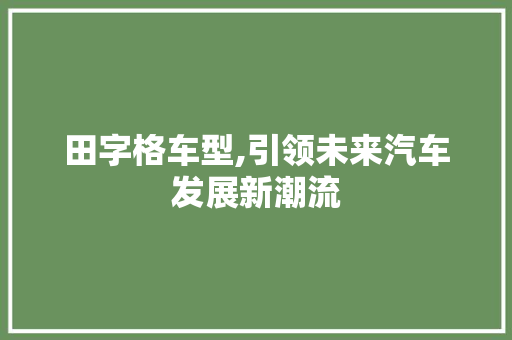 田字格车型,引领未来汽车发展新潮流
