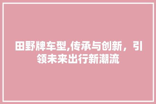 田野牌车型,传承与创新，引领未来出行新潮流