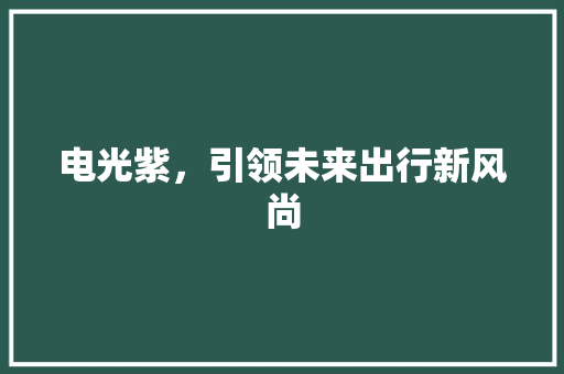 电光紫，引领未来出行新风尚