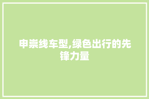 申崇线车型,绿色出行的先锋力量