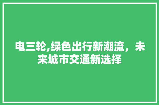 电三轮,绿色出行新潮流，未来城市交通新选择