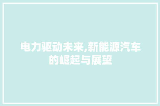 电力驱动未来,新能源汽车的崛起与展望