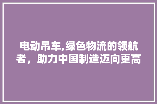 电动吊车,绿色物流的领航者，助力中国制造迈向更高峰