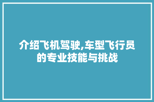 介绍飞机驾驶,车型飞行员的专业技能与挑战