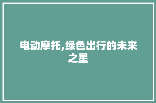 电动摩托,绿色出行的未来之星