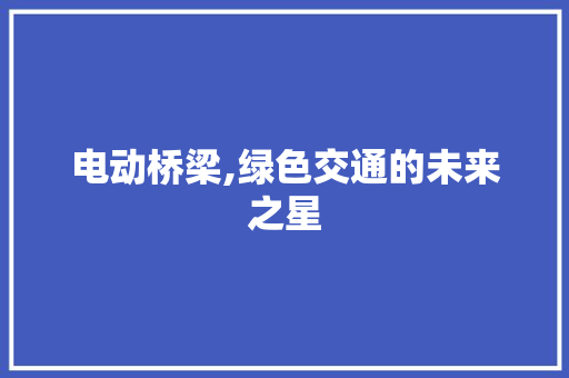 电动桥梁,绿色交通的未来之星