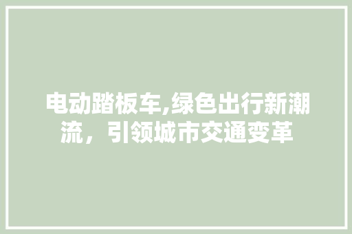 电动踏板车,绿色出行新潮流，引领城市交通变革