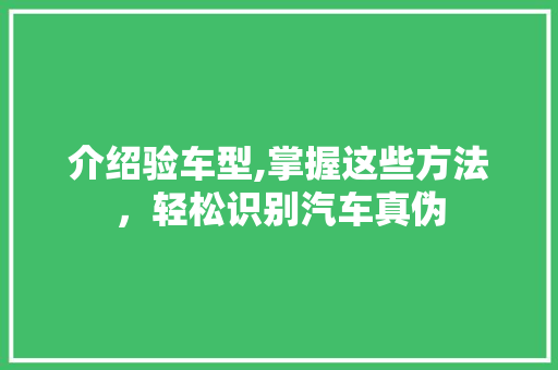 介绍验车型,掌握这些方法，轻松识别汽车真伪