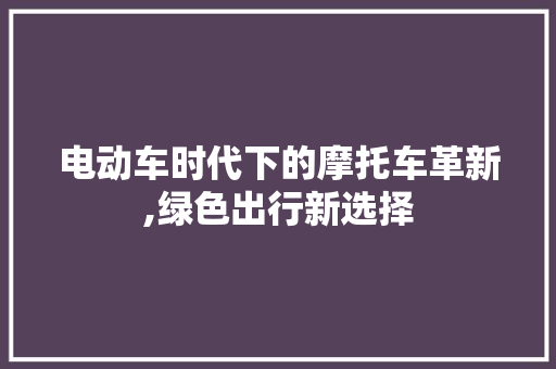 电动车时代下的摩托车革新,绿色出行新选择
