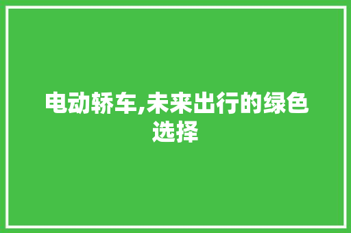 电动轿车,未来出行的绿色选择
