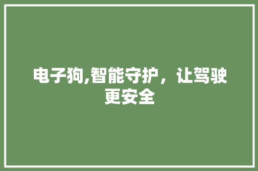 电子狗,智能守护，让驾驶更安全