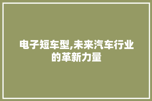 电子短车型,未来汽车行业的革新力量