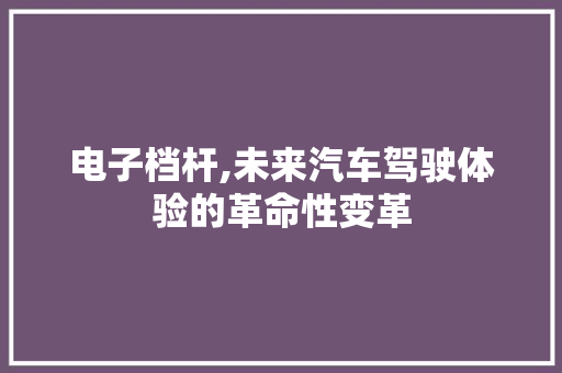电子档杆,未来汽车驾驶体验的革命性变革