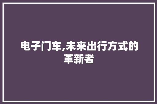 电子门车,未来出行方式的革新者