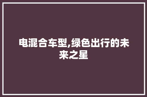 电混合车型,绿色出行的未来之星