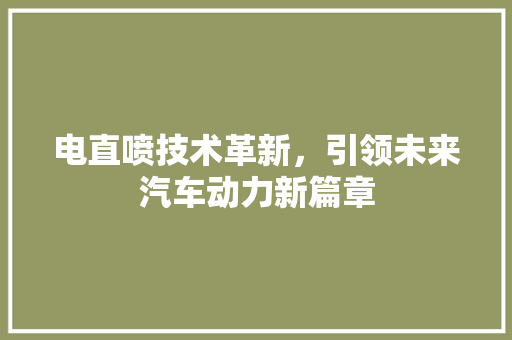 电直喷技术革新，引领未来汽车动力新篇章