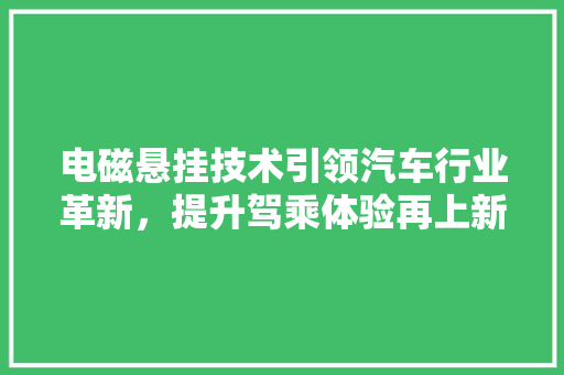 电磁悬挂技术引领汽车行业革新，提升驾乘体验再上新台阶