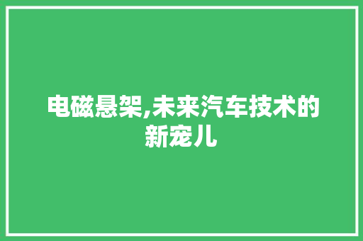 电磁悬架,未来汽车技术的新宠儿