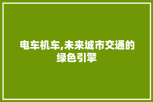 电车机车,未来城市交通的绿色引擎