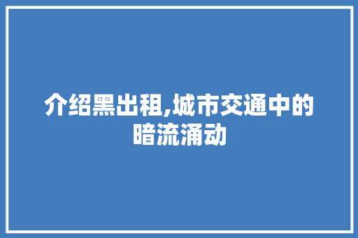 介绍黑出租,城市交通中的暗流涌动 新款车型