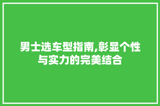 男士选车型指南,彰显个性与实力的完美结合