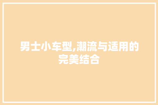 男士小车型,潮流与适用的完美结合