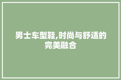男士车型鞋,时尚与舒适的完美融合
