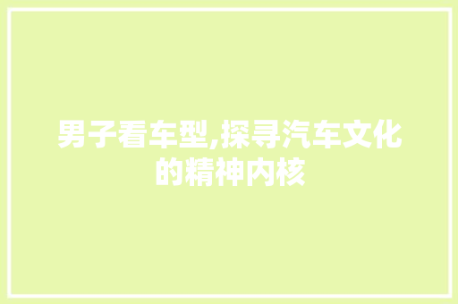 男子看车型,探寻汽车文化的精神内核