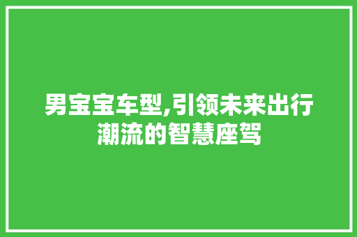 男宝宝车型,引领未来出行潮流的智慧座驾