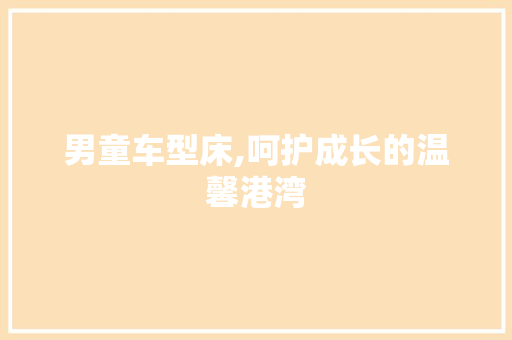 男童车型床,呵护成长的温馨港湾