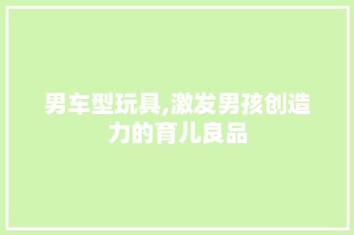 男车型玩具,激发男孩创造力的育儿良品