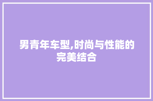 男青年车型,时尚与性能的完美结合