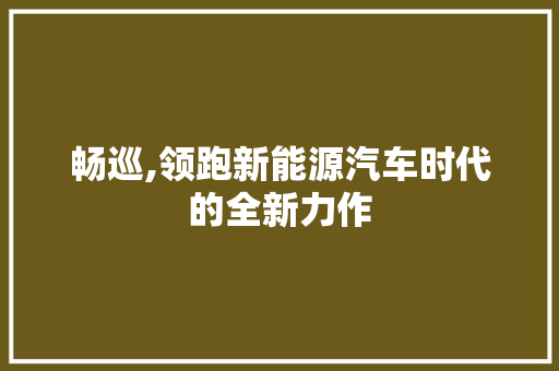 畅巡,领跑新能源汽车时代的全新力作