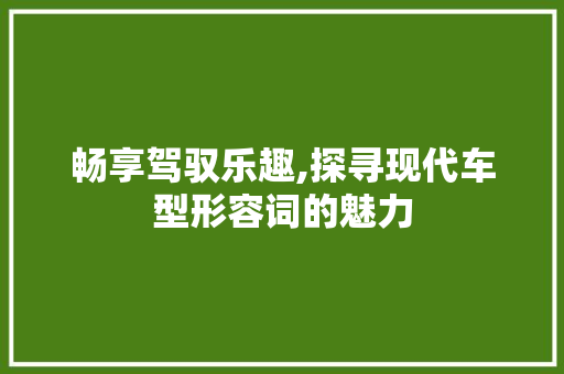 畅享驾驭乐趣,探寻现代车型形容词的魅力