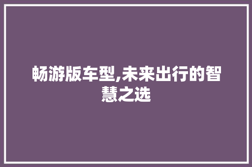 畅游版车型,未来出行的智慧之选