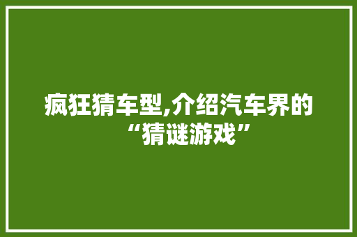疯狂猜车型,介绍汽车界的“猜谜游戏”