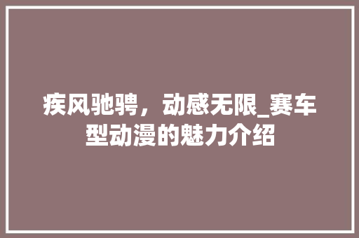 疾风驰骋，动感无限_赛车型动漫的魅力介绍