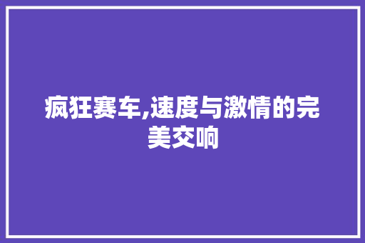 疯狂赛车,速度与激情的完美交响