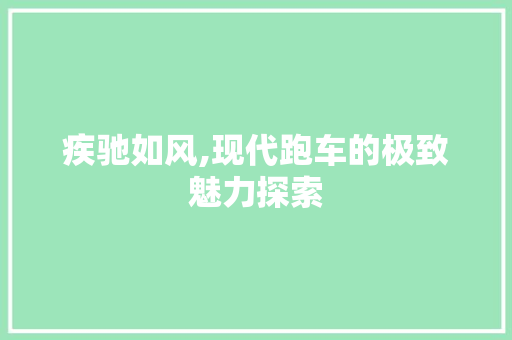 疾驰如风,现代跑车的极致魅力探索