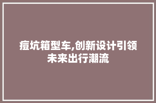 痘坑箱型车,创新设计引领未来出行潮流