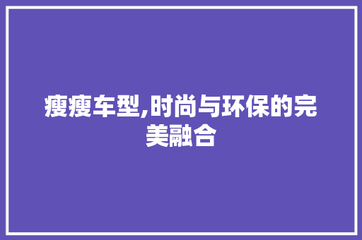 瘦瘦车型,时尚与环保的完美融合