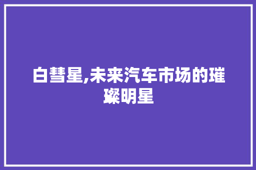 白彗星,未来汽车市场的璀璨明星
