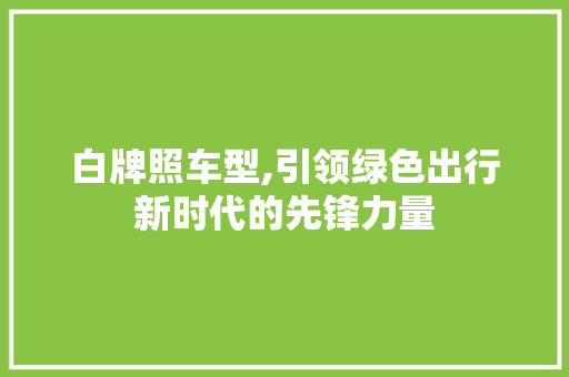 白牌照车型,引领绿色出行新时代的先锋力量