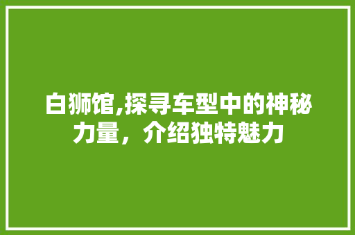 白狮馆,探寻车型中的神秘力量，介绍独特魅力