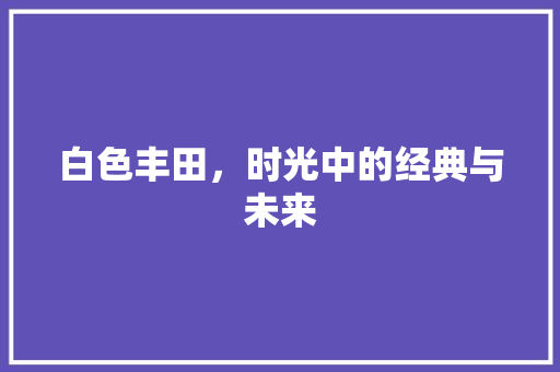 白色丰田，时光中的经典与未来
