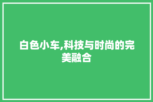 白色小车,科技与时尚的完美融合