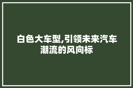 白色大车型,引领未来汽车潮流的风向标